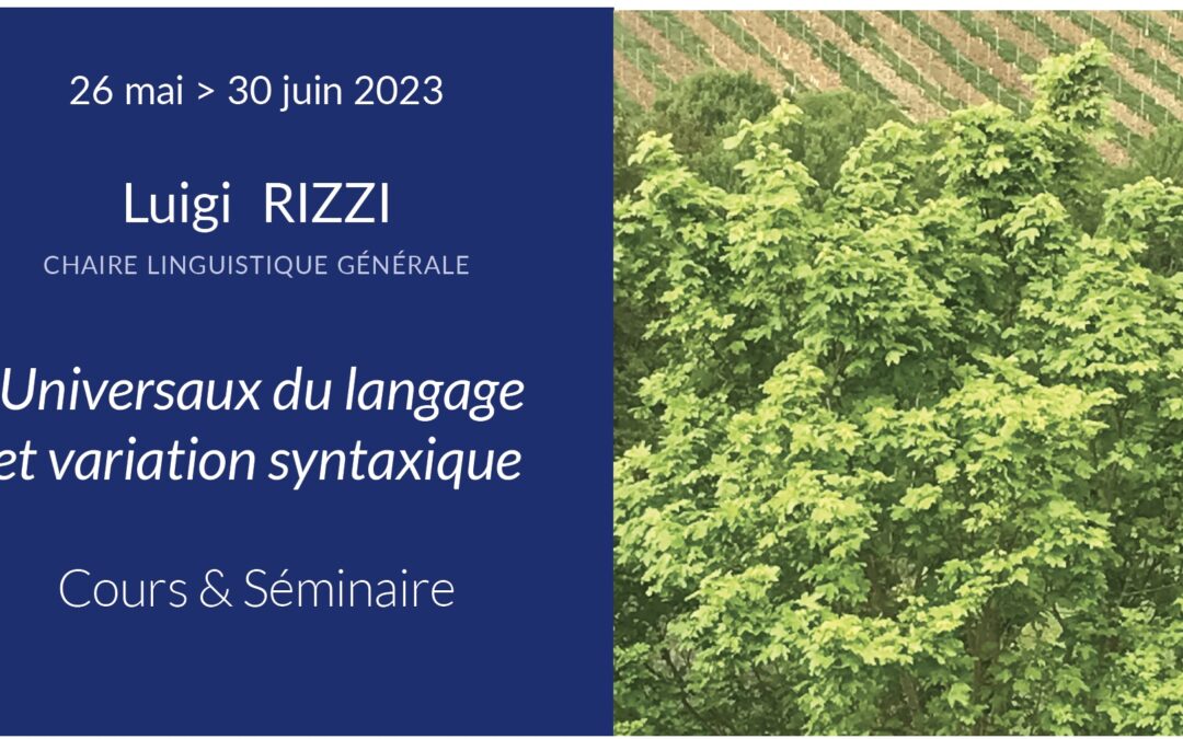 Cours de linguistique générale au collège de France 2023